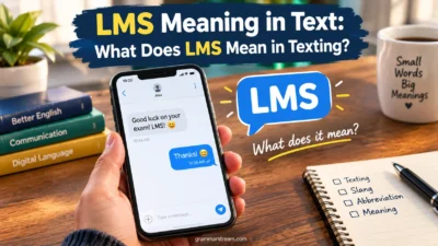 LMS Meaning in Text