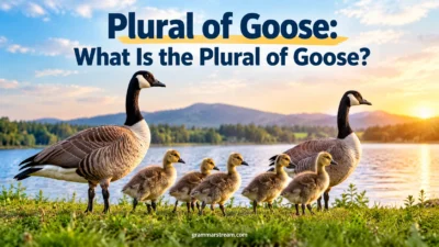 Plural of Goose
